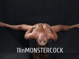 11inMONSTERCOCK