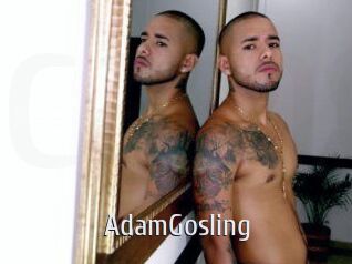AdamGosling