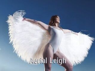 Aerial_Leigh