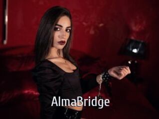 AlmaBridge