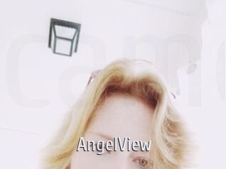 AngelView