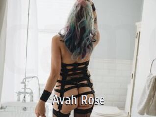 Avah_Rose