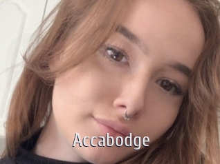 Accabodge