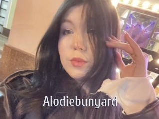 Alodiebunyard