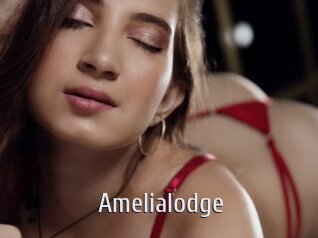 Amelialodge