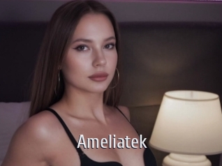 Ameliatek