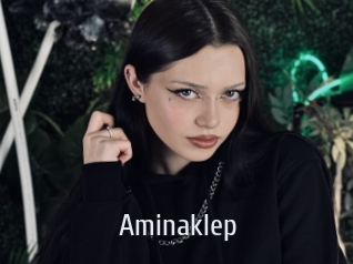 Aminaklep