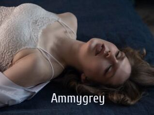 Ammygrey