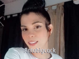 Antobigcock