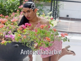 Antonellabarbie