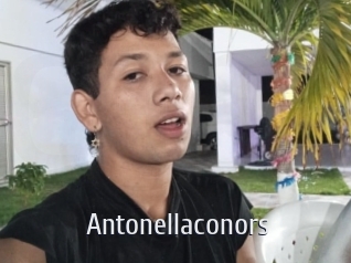 Antonellaconors