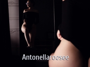 Antonellaroosee