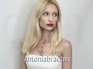 Antoniabracher