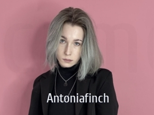 Antoniafinch