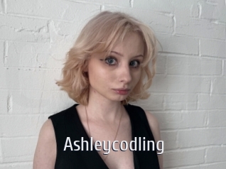 Ashleycodling