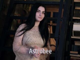 Astrobee