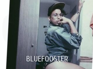 BLUEFOOSTER