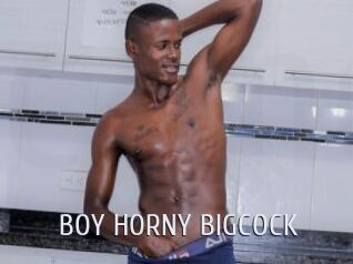 BOY_HORNY_BIGCOCK