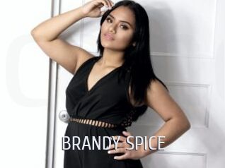 BRANDY_SPICE