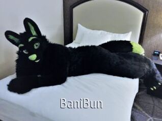 BaniBun