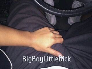 BigBoyLittleDick