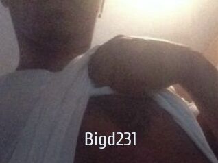 Bigd231