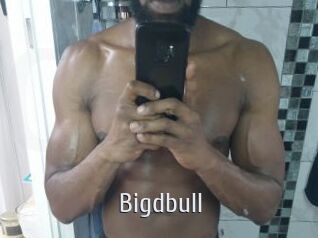 Bigdbull