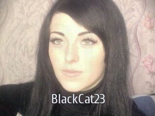 BlackCat23