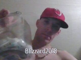 Blizzard2018