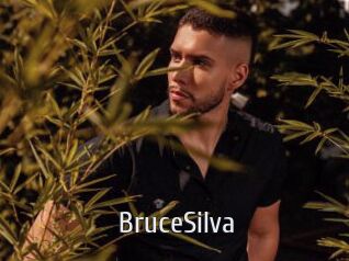 BruceSilva