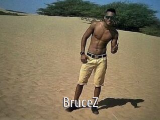 BruceZ