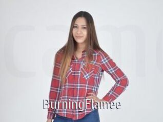 BurningFlamee