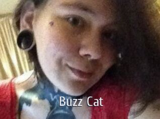 Buzz_Cat