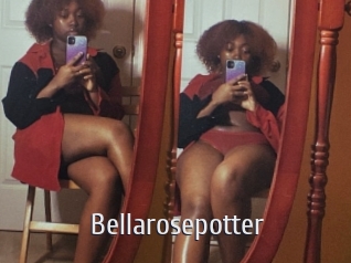 Bellarosepotter