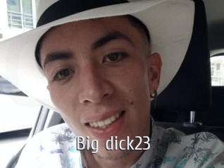 Big_dick23