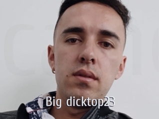 Big_dicktop23