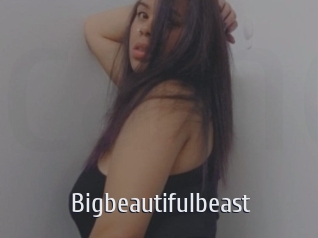 Bigbeautifulbeast