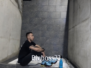 Bigboss22