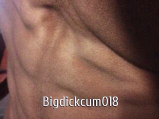 Bigdickcum018