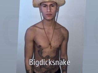 bigdicksnake Cigare à moustache