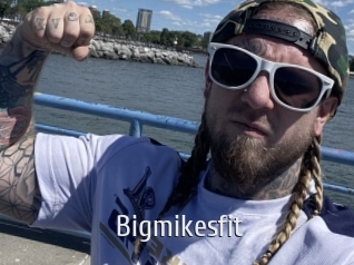 Bigmikesfit