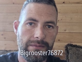 Bigrooster76872