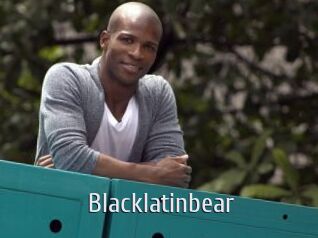 Blacklatinbear