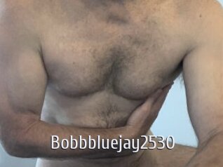 Bobbbluejay2530