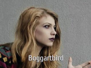 Boggartbird