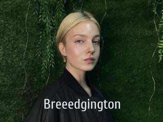 Breeedgington