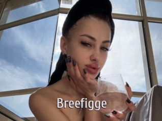 Breefigge