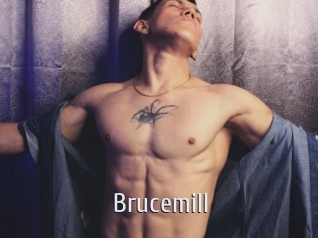 Brucemill