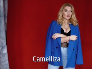 Camelliza
