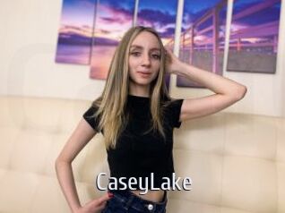 CaseyLake